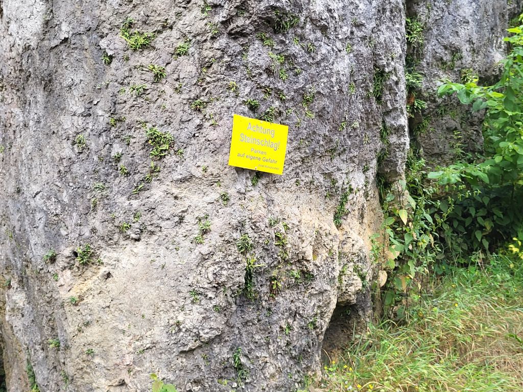 20240727_084300.jpg